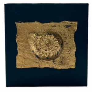 Cuadro caracola natural en pan de oro y azul marino