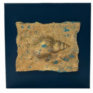 Cuadro caracola natural concha de zorro en pan de oro y azul marino