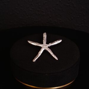 Estrella de mar plateada