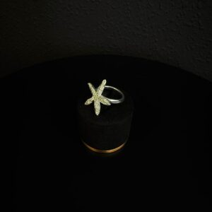 Anillo estrella plateado